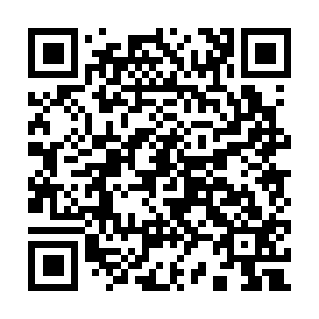 QR code for I20313