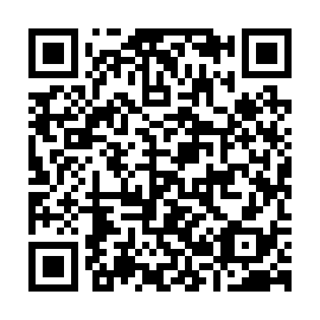 QR code for I29238