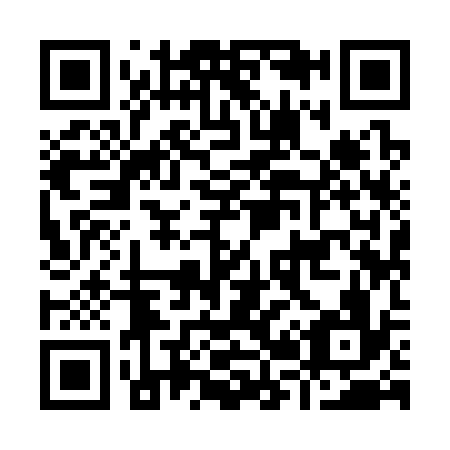 QR code for I29336