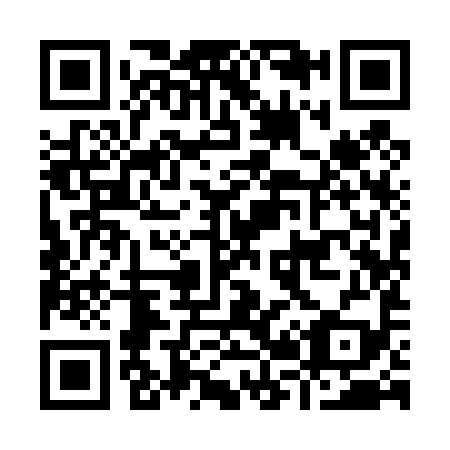 QR code for I29499