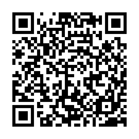 QR code for I31317