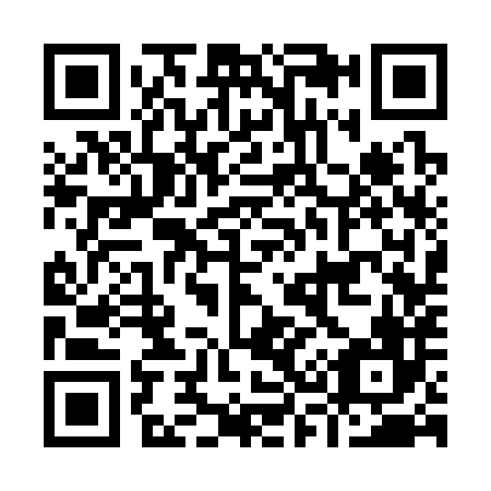 QR code for I33386