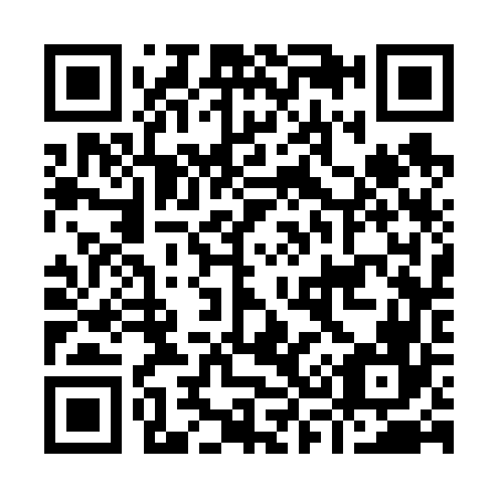 QR code for I33666