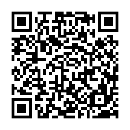 QR code for I38216