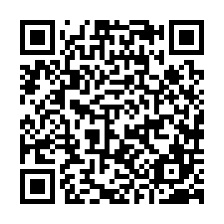 QR code for I38306