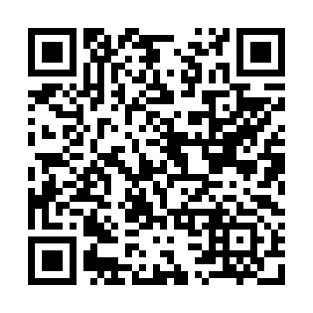 QR code for I38693