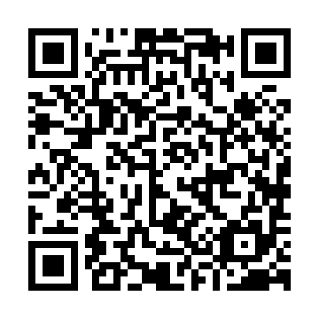QR code for I38895