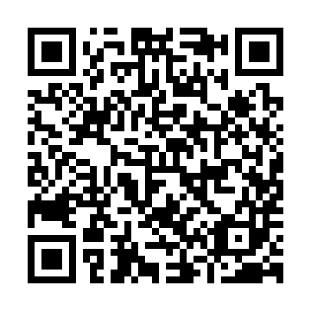QR code for I61383