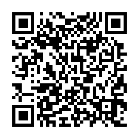 QR code for I93313