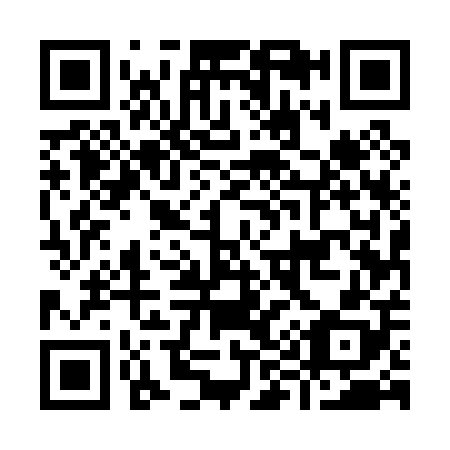 QR code for I95008