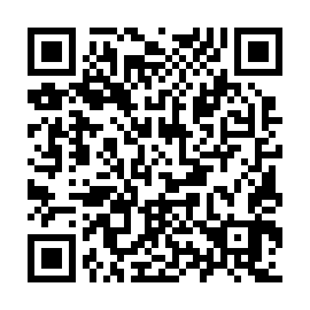 QR code for I95243