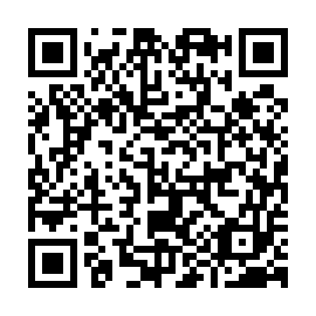 QR code for I95553