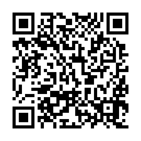 QR code for I96397