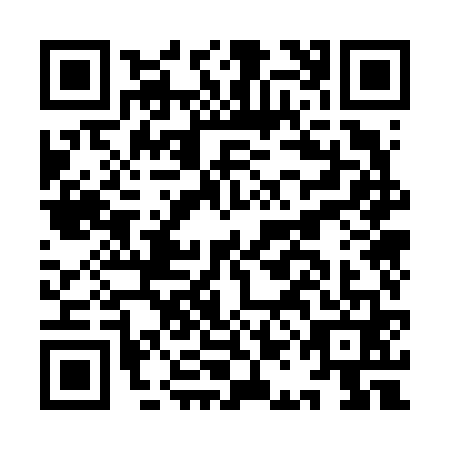 QR code for IAO6613