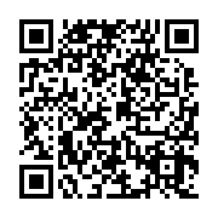 QR code for IBV2384