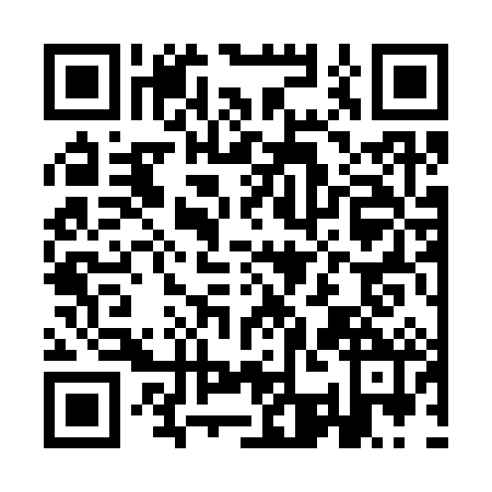QR code for ICC3829