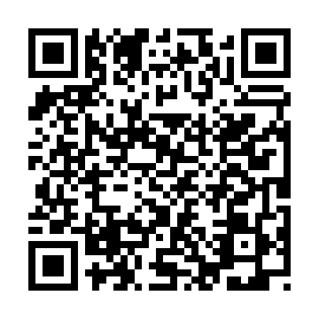 QR code for ICO-0490
