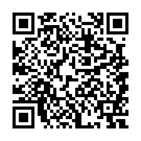 QR code for plate IFF-0810
