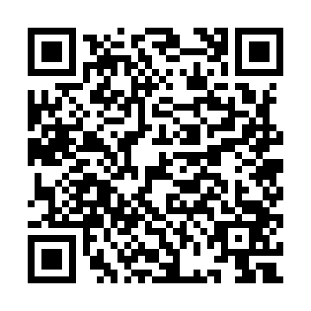 QR code for plate IFG-9433