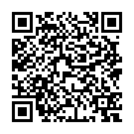 QR code for IFI0336