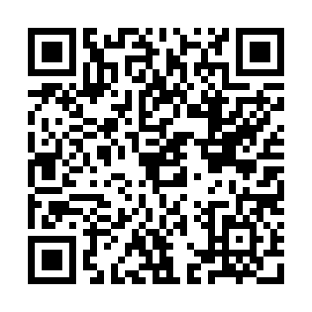 QR code for IGT-2863