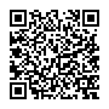 QR code for IIB1744