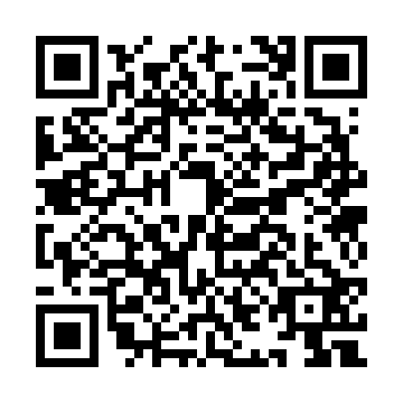 QR code for IIC-6228