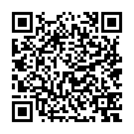 QR code for plate IIE-9396