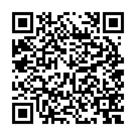 QR code for IIG2596