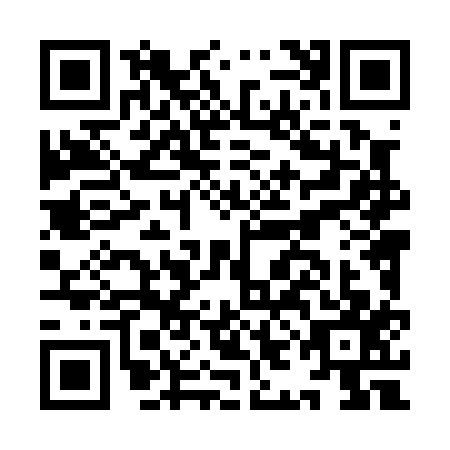 QR code for IIL0171