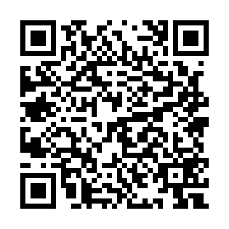 QR code for IIM-1593