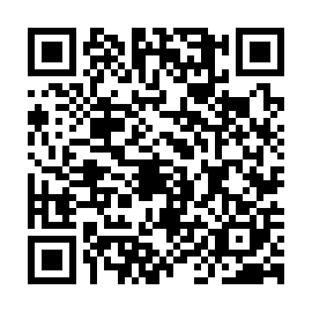 QR code for IIN-3007