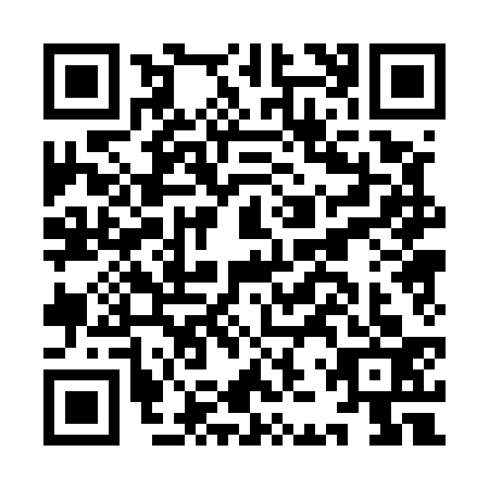 QR code for IJP5333
