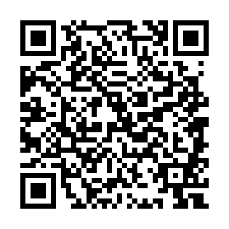 QR code for IJT3809