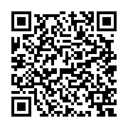QR code for IJU-0213