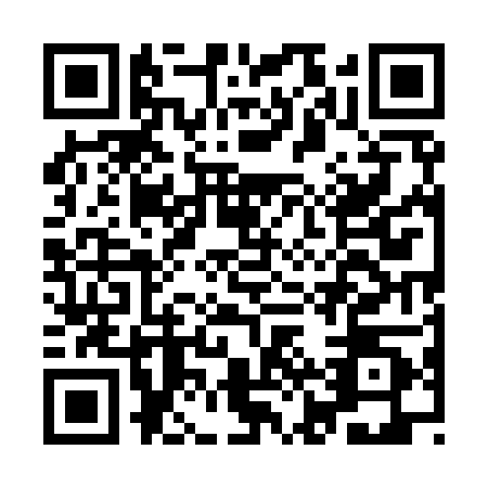 QR code for IJU-9004
