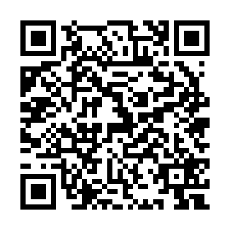 QR code for IJU2292