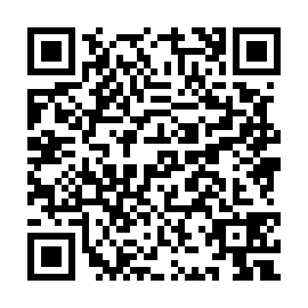 QR code for IJX-5383