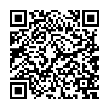 QR code for IKV9029