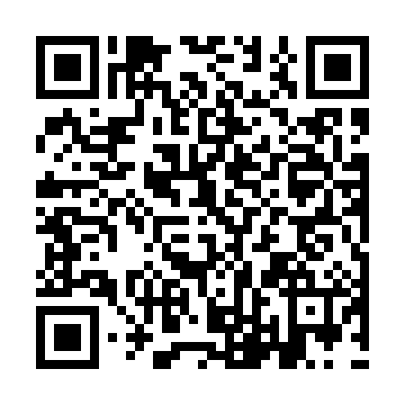 QR code for plate ILE-0868