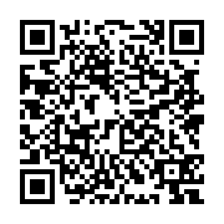 QR code for plate ILM-0328