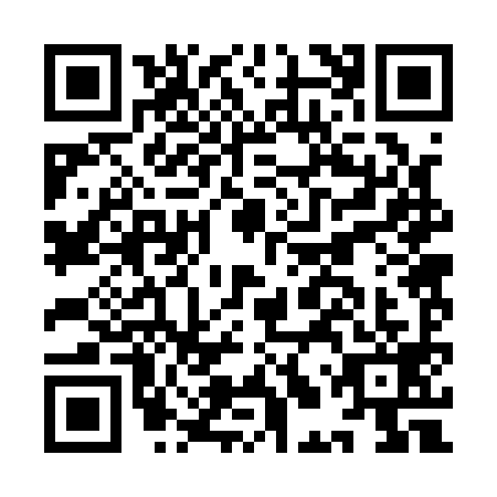 QR code for ILR-1996
