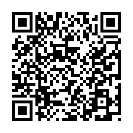 QR code for IMD0385