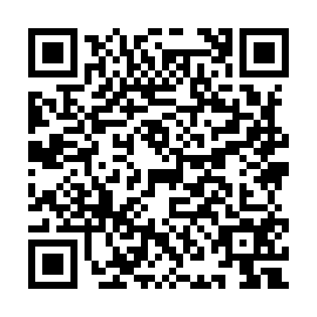 QR code for INI-9543