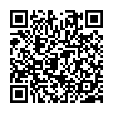 QR code for INI1989