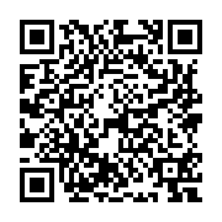 QR code for INI9107