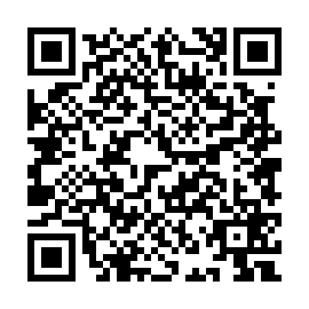 QR code for INT-0699