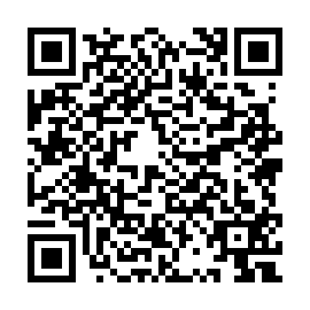 QR code for IRM-3138