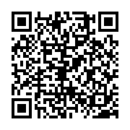 QR code for IRO3334