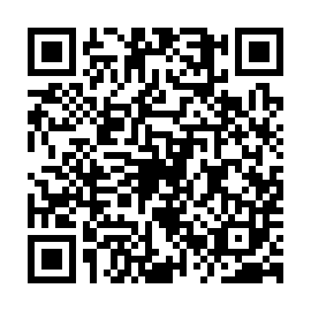 QR code for IRQ-3838